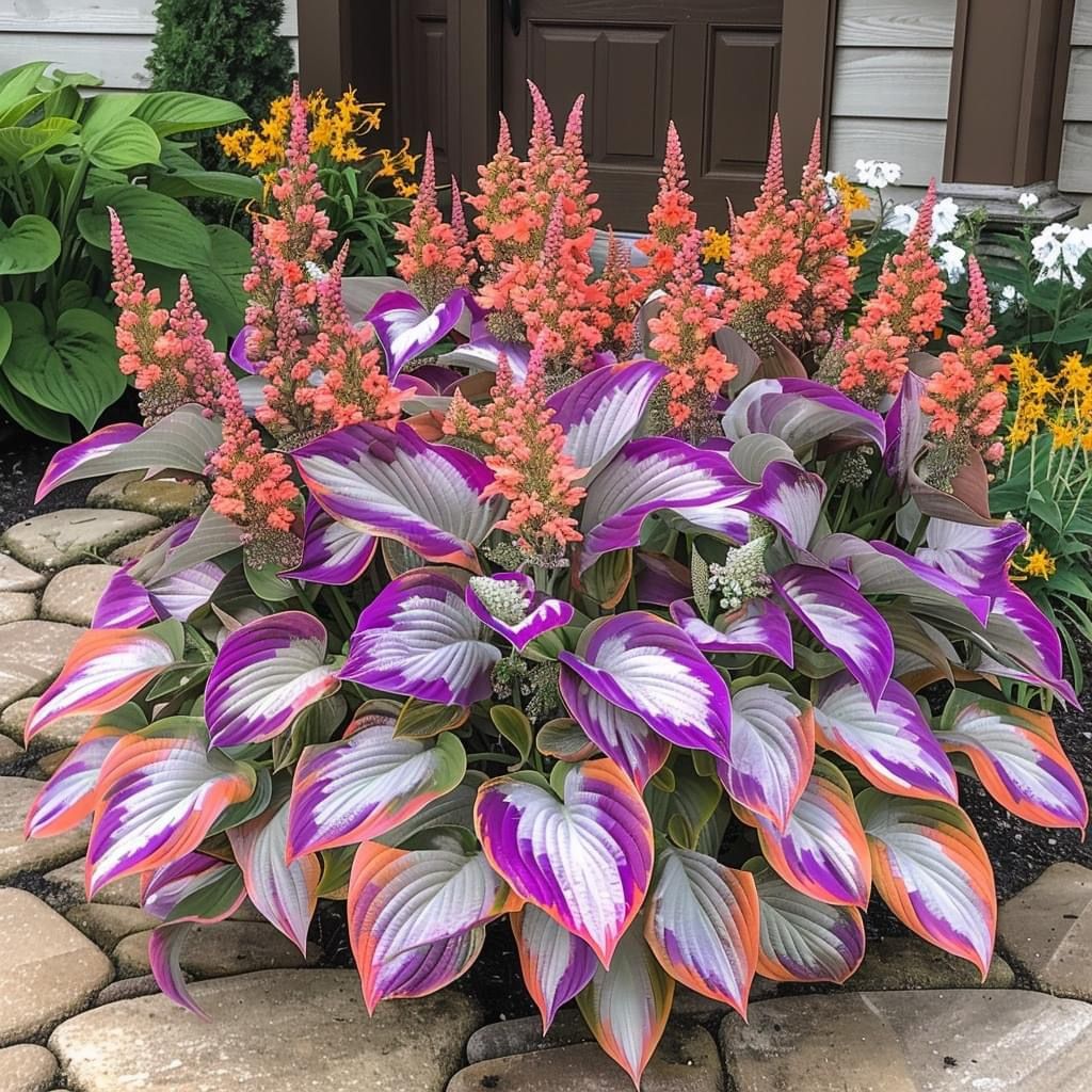Shade-Tolerant and Cold-Hardy Hosta Flowers Seeds